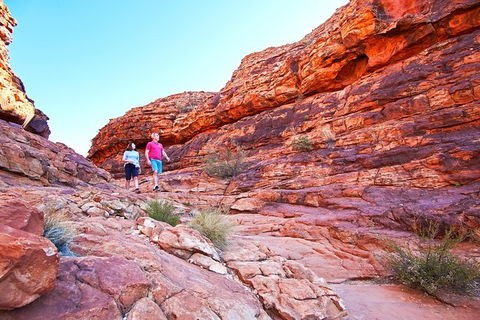 Coach Transfer From Kings Canyon Resort To Ayers Rock Resort - Accommodation Mooloolaba 6