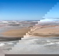 Scenic Flight Lizard Safari - Accommodation Mooloolaba