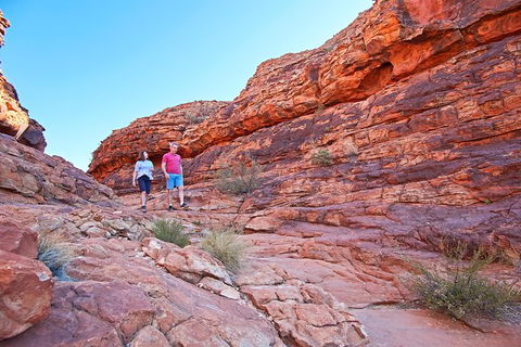 Coach Transfer From Kings Canyon To Alice Springs - Accommodation Mooloolaba 4
