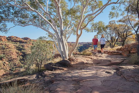 Coach Transfer From Kings Canyon To Alice Springs - Accommodation Mooloolaba 8
