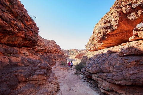 Coach Transfer From Kings Canyon To Alice Springs - Accommodation Mooloolaba 7