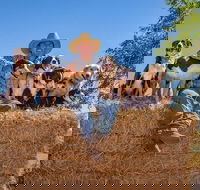 Skip-the-Line Katherine Outback Experience Show Ticket - Accommodation Mooloolaba