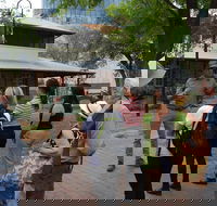 Alice Springs Walking Tours - Accommodation Mooloolaba