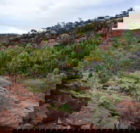 Palm Valley and Hermannsburg 1 Day 4WD Tour - Accommodation Mooloolaba