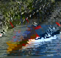 Kayak and SUP Guided Tours - Accommodation Mooloolaba