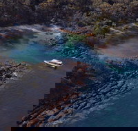 Jervis Bay Passage Tour - Accommodation Mooloolaba