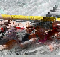 Jervis Bay Boom Netting and Dolphins Tour - Accommodation Mooloolaba