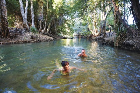 14 Day Dinos, Crocs And Gold - Accommodation Mooloolaba 6