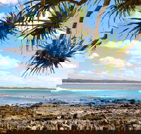 Arrawarra-Corindi Beach - Accommodation Mooloolaba