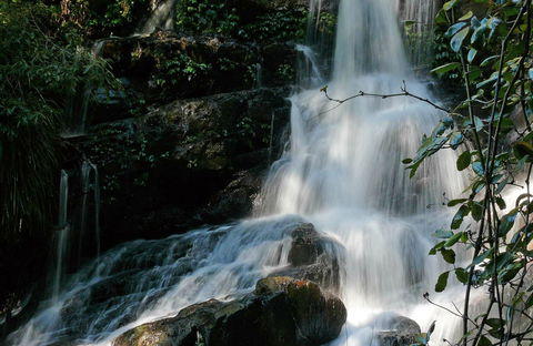 Bangalore Falls Walking Track - Accommodation Mooloolaba 0