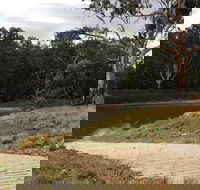Buckingbong Reserve - Accommodation Mooloolaba