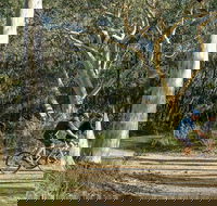 Bundanoon cycling route - Accommodation Mooloolaba