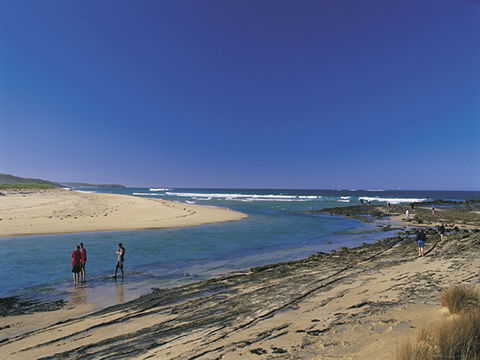 Burrill Lake - Accommodation Mooloolaba 0