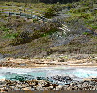 Dammerels History Walk - Accommodation Mooloolaba