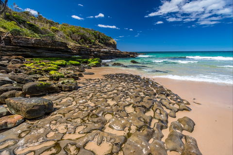 Dawsons Island Beach - Accommodation Mooloolaba 0
