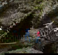 Dig the Tropic - Accommodation Mooloolaba