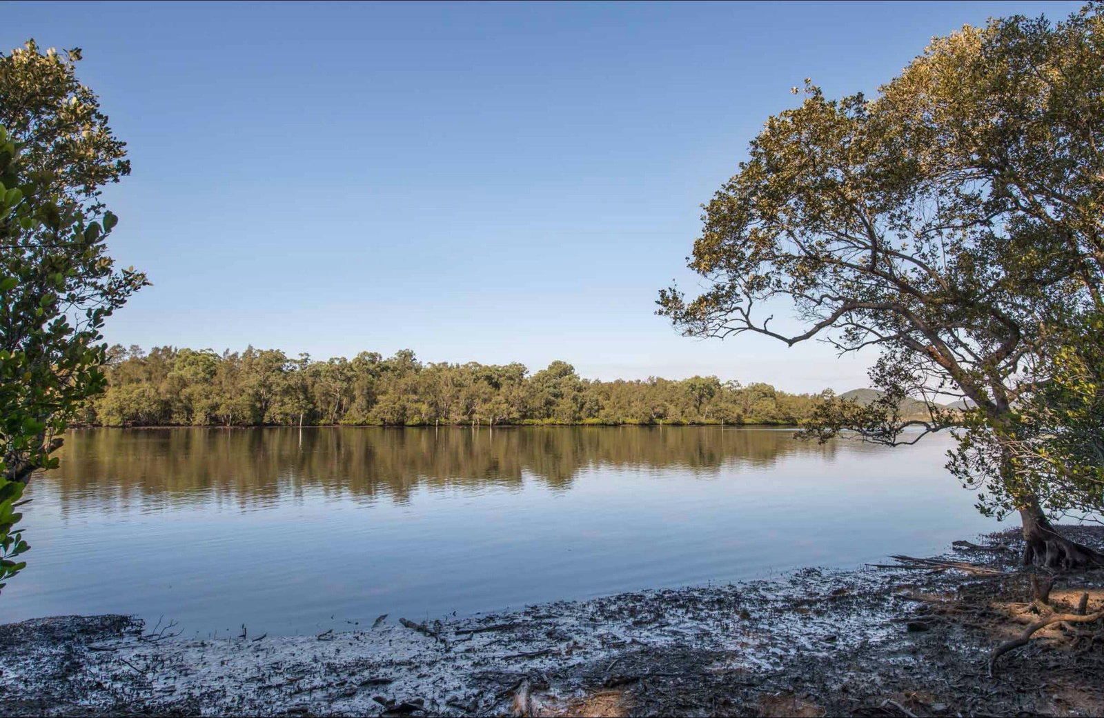 Limeburners Creek NSW Accommodation Mooloolaba