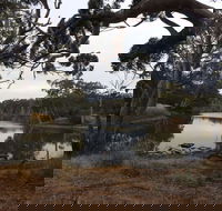 Duck Lagoon - Accommodation Mooloolaba