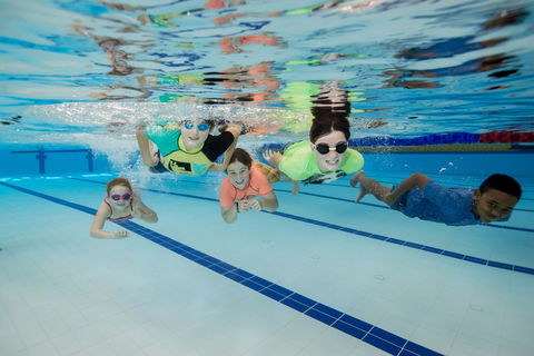 East Maitland Aquatic Centre - Accommodation Mooloolaba 1