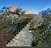 Evans Crown Nature Reserve - Accommodation Mooloolaba