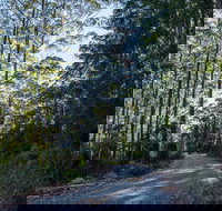 Hastings Forest Way Touring Route - Accommodation Mooloolaba