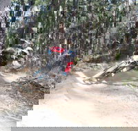 Jolly Nose Mountain Bike Park - Accommodation Mooloolaba