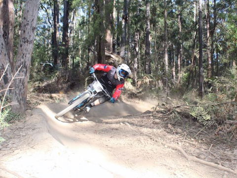 Jolly Nose Mountain Bike Park - Accommodation Mooloolaba 0