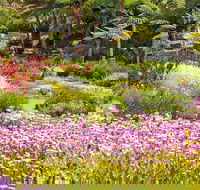 Jurassic Garden AR Experience - Accommodation Mooloolaba