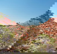 Lark Quarry Conservation Park - Accommodation Mooloolaba