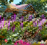 Laurel Bank Park - Accommodation Mooloolaba