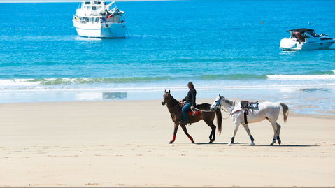Mackay Harbour Beach - Accommodation Mooloolaba 0