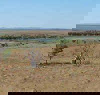 Marlgu Billabong - Accommodation Mooloolaba