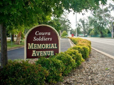 Memorial Avenue In Cowra - Accommodation Mooloolaba 0