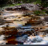 Mothar Mountain Rockpools - Accommodation Mooloolaba