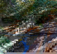 Ms Kellys Walking Track - Accommodation Mooloolaba