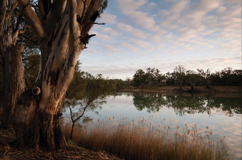 Murray-Kulkyne Regional Park - Accommodation Mooloolaba 0
