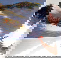 Neale Joseph Fine Art Gallery - Accommodation Mooloolaba