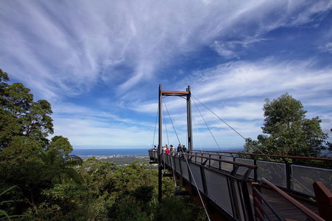 Orara East State Forest - Accommodation Mooloolaba 0