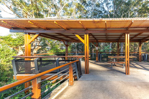 Orara East State Forest - Accommodation Mooloolaba 1