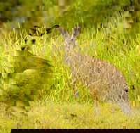 Perseverance - Accommodation Mooloolaba