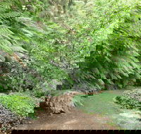 Pirianda Gardens - Accommodation Mooloolaba