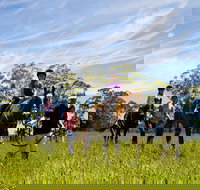 Port Macquarie Horse Riding Centre - Accommodation Mooloolaba