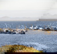 Portarlington - Accommodation Mooloolaba