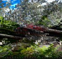 Puffing Billy Railway - Accommodation Mooloolaba
