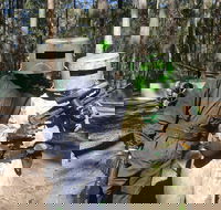 Rapid Fire Paintball - Accommodation Mooloolaba