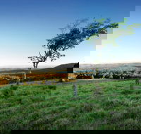 Ravensbourne National Park - Accommodation Mooloolaba