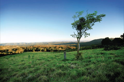 Ravensbourne National Park - Accommodation Mooloolaba 0