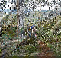 Summits Walking Track - Accommodation Mooloolaba