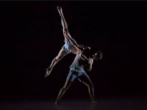 Sydney Dance Company - Accommodation Mooloolaba 0