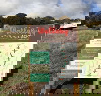 The Wallaby Track - Accommodation Mooloolaba